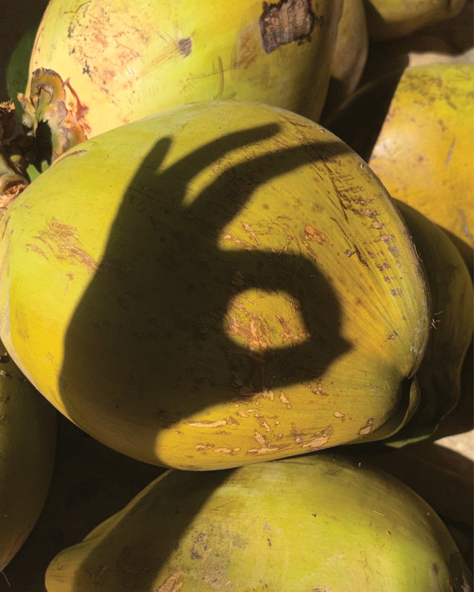 The Language Of Bali