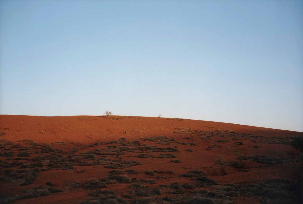 On Our Horizon | February