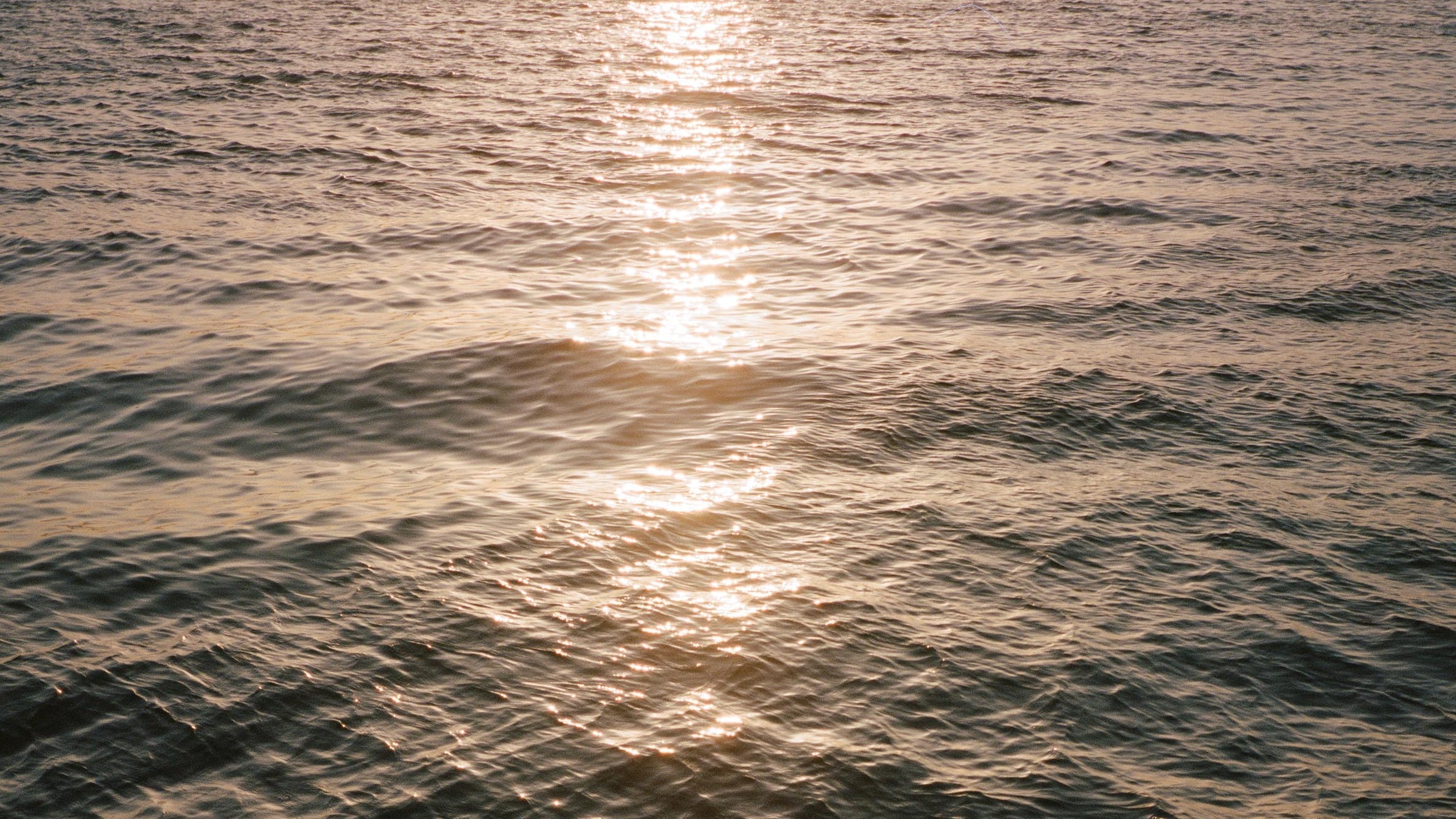 On Our Horizon | December