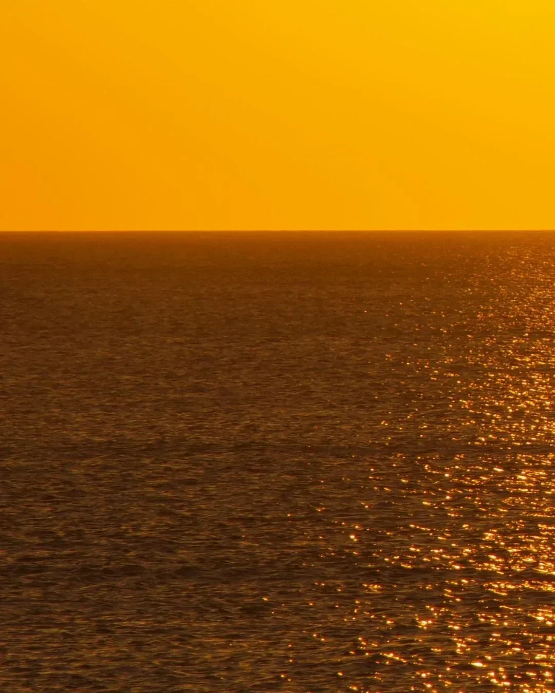 On Our Horizon | August