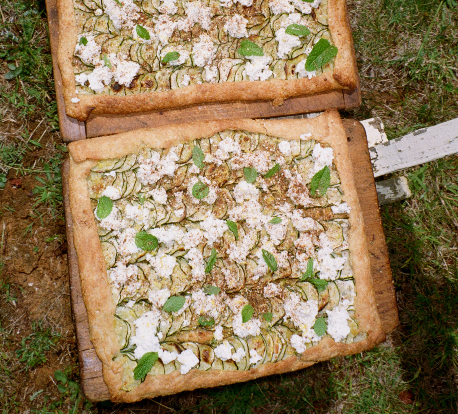 Zucchini Tart with Fresh Ricotta Cheese & Lemon Zest by Judith Leclerc