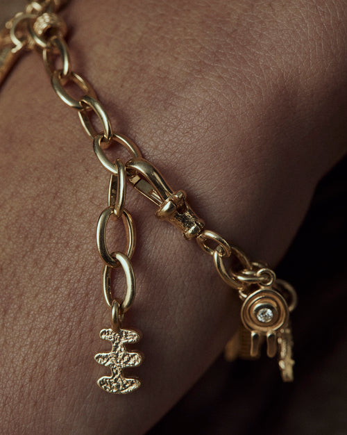 Curio Charm Bracelet - 9ct