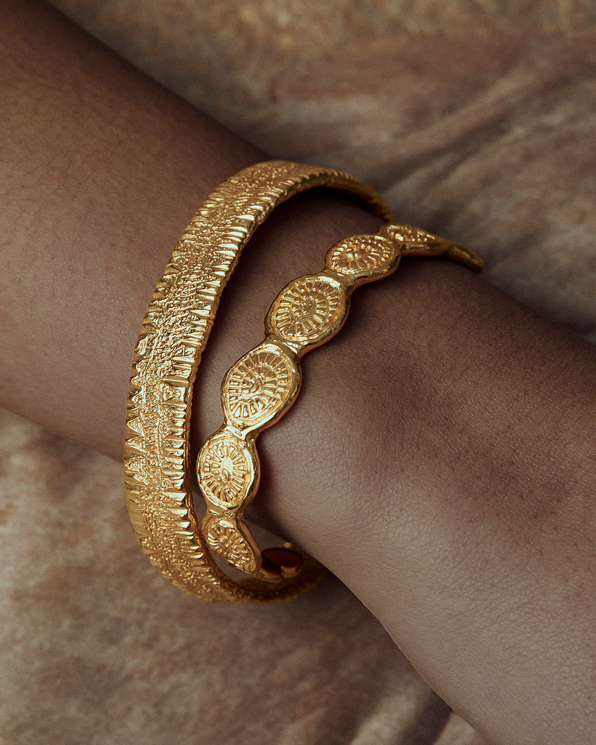 Anchovy Cuff