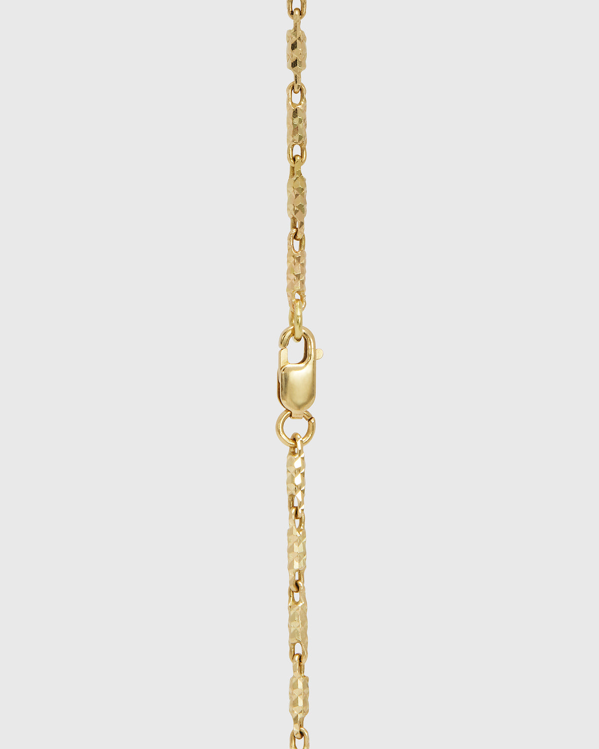 Lion Legacy Necklace - 9ct