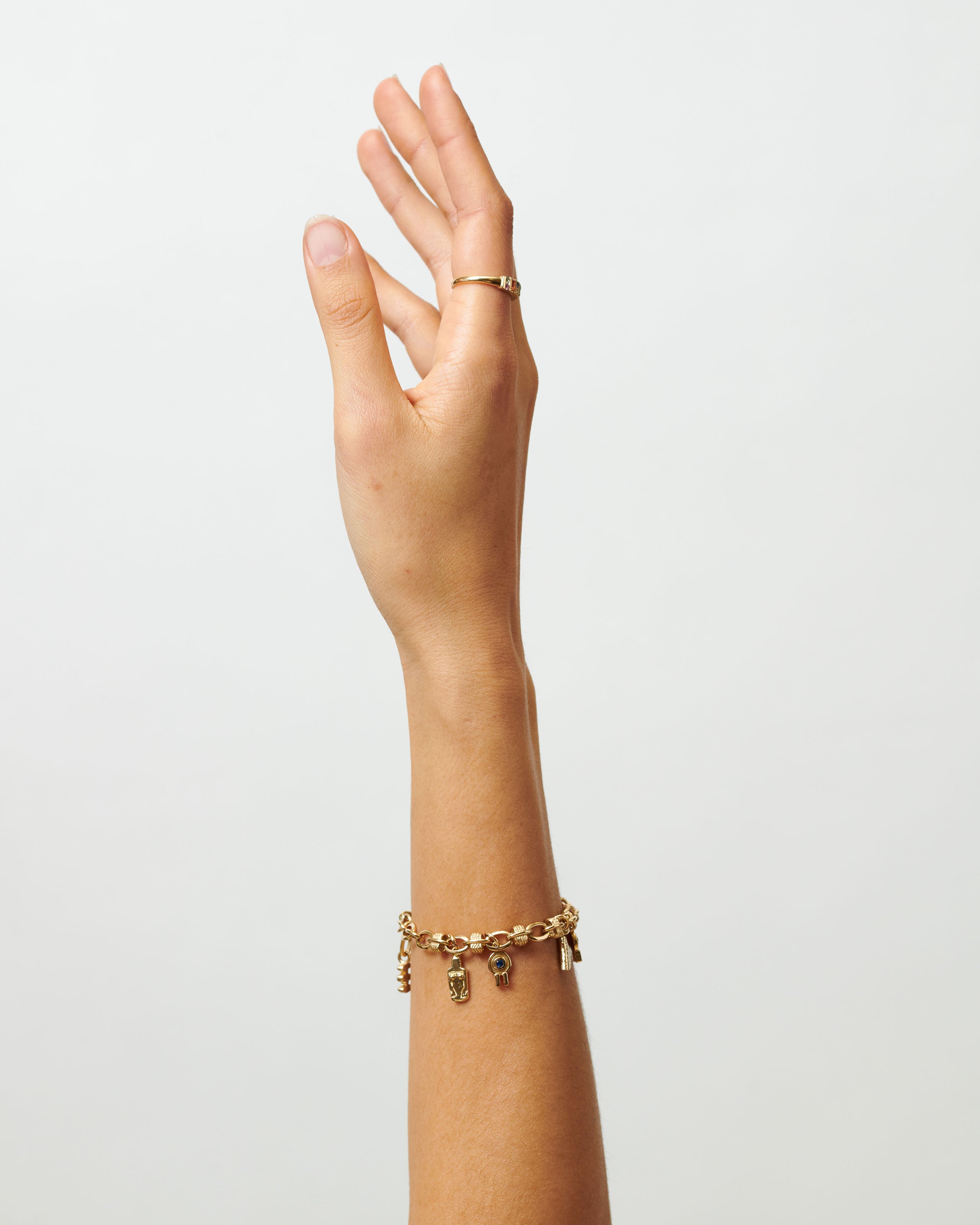 Draa Charm - 9ct